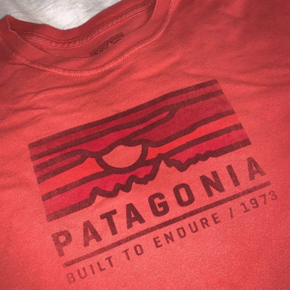 Patagonia graphic T-shirt